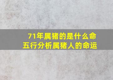 71年属猪的是什么命 五行分析属猪人的命运